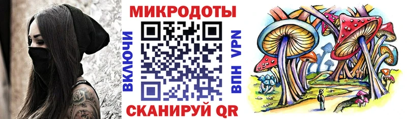 гидра зеркало  Кашин  Псилоцибиновые грибы Psilocybine cubensis 